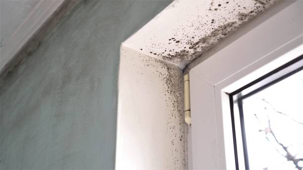 Water Damage Restoration in Amherst, VA