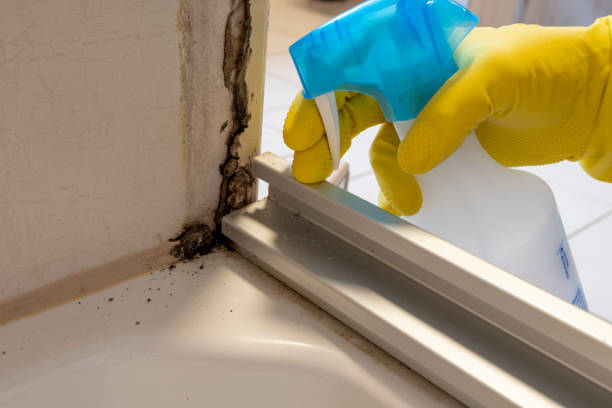 Best Water Damage Restoration  in Amherst, VA